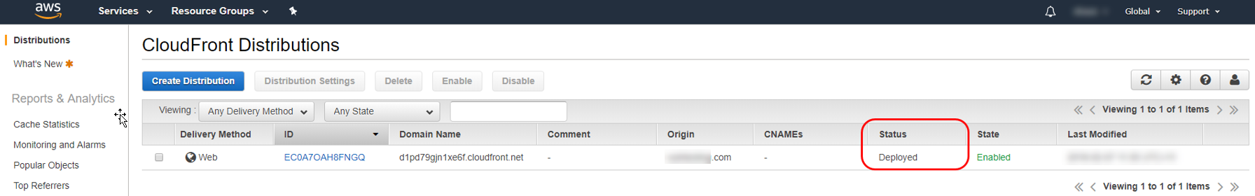 CloudFront Domains